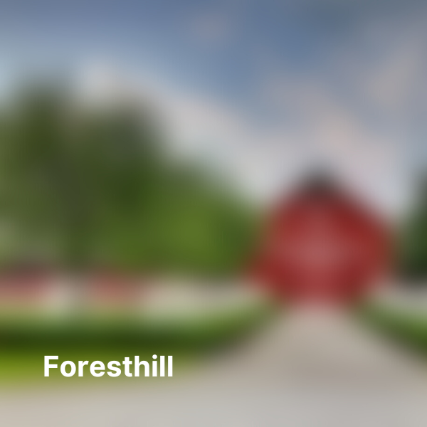 Foresthill Button